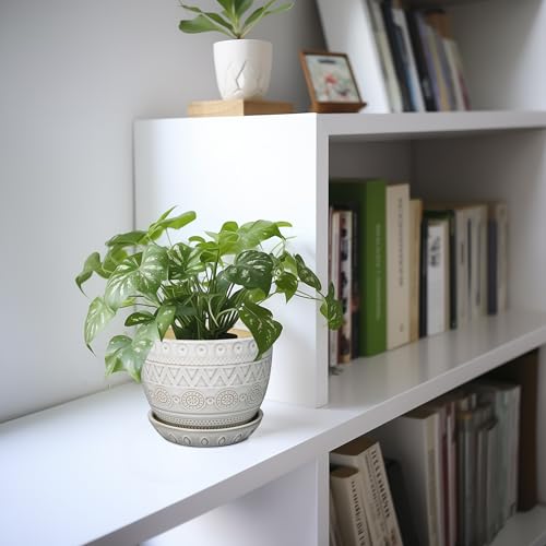 G EPGardening Ceramic Planters for Indoor Plants, 5 Inch Plant Pot, White - color: Triangle White