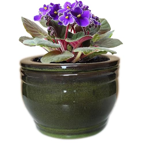 African Violet Self Watering Pots Olive drab 6 inch - color: Olive Drab