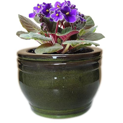African Violet Self Watering Pots Olive drab 6 inch - color: Olive Drab
