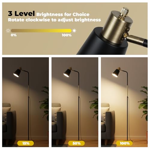LALISU Floor Lamp Industrial Floor Lamps Reading Farmhouse Standing Lamp - color: Black