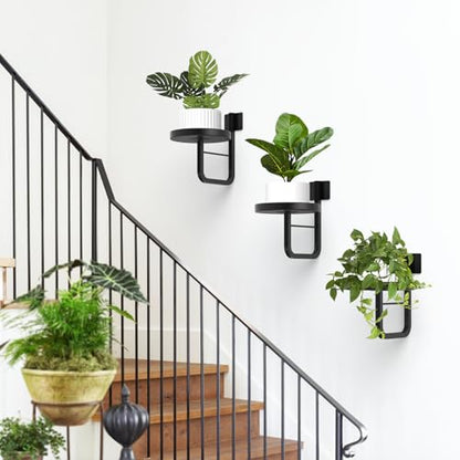 2 Pack Wall Plant Holder for Hanging Planters Indoor Outdoor Black - color: Black-2Pcs20cm