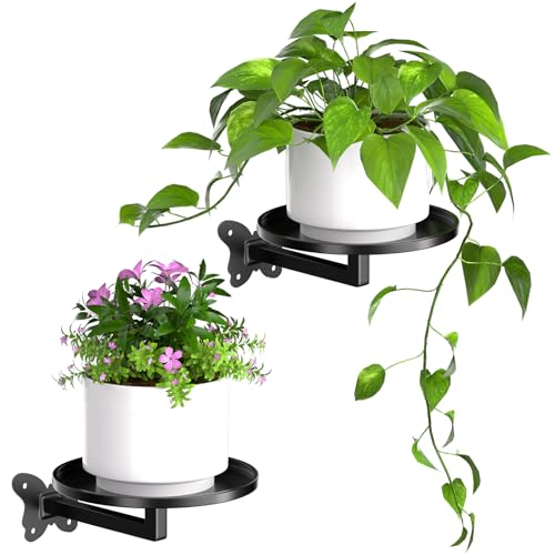 Wall Plant Holder 2 Pack Butterfly Bracket Floating Sheves Wall Mounted Metal Plant Stand Wall Planter Rack Hanging Plant Shelf for Succulent Cactus Herb Small Potted Plants Farmhouse Rustic Home Wall Decor
