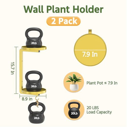 LASZOLA Plant Hanger Holder Window Shelf Wall Mounted Indoor, 2 Pcs Gold - color: Warm Gold, size: 2