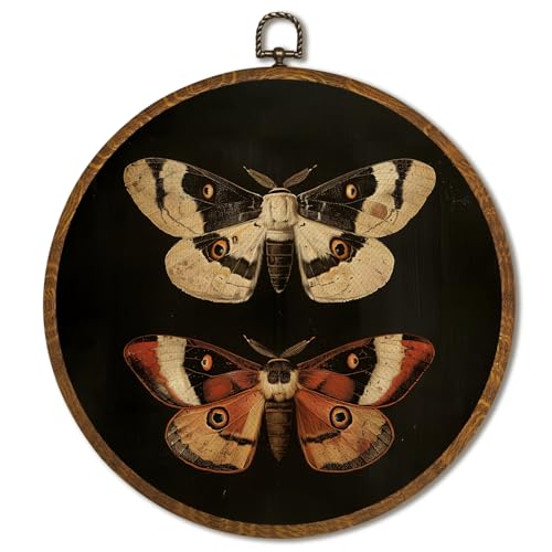 Vintage Wall Art 10x10 Inch, Round Framed Canvas Print of Vintage Butterfly & Moths, Dark Moody Circular Wall Art Decor for Living Room, Bedroom, Neutral Retro Artwork (Black-2 Butterflies) - color: Black-2 Butterflies