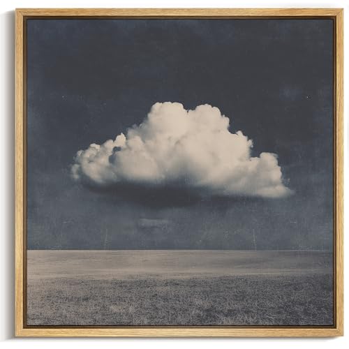 MUDECOR Framed Canvas Print Wall Art Minimalist Cloud on Dark Sky Vintage Neutral Landscape Illustrations Modern Art Group Colorful for Living Room, Bedroom, Office - 16"x16" NATURAL - color: B09-2604-M25, size: 16"L x 16"W