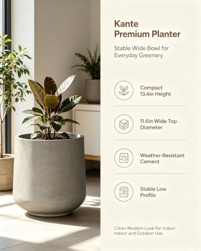 Kante 13.4" Tall Concrete Planter, Round Curved Flower Pot, Weathered - color: Weathered Concrete, size: 13” Dia