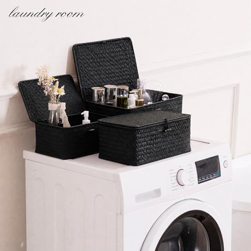 Nonam Wicker Storage Basket with Lid,Seagrass Shelf Basket Set of 3,Black - color: Standard Black* Set of 3