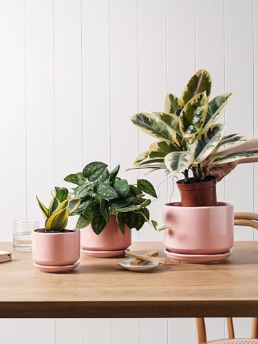 LE TAUCI Ceramic Pots for Plants, 4.3+5.3+6.8 Inch, Set of 3, Pink - color: Pink, size: 4.3"+5.3"+6.8"