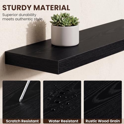 Dreamland 16" Black Floating Shelves 6.7" Deep Wall Mounted Set of 2 - color: Black, size: 6.7"D x 16"L