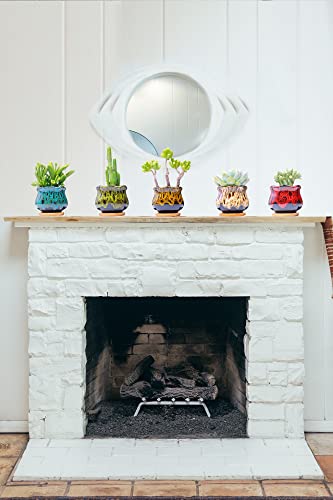 Cute Ceramic Succulent Garden Pots, Planter with Drainage and Attached Saucer, Set of 5 -Plants Not Included (Fambe) - color: Fambe