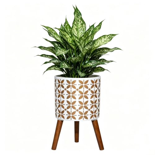 nacltlo12 Inch Planter with Stand, Plant Stand Indoor, Plant pots, Modern Mid-Century,Large Flower Planter Pot with Drainage Holes for Outdoor,White and xGold - color: White Gold, size: 12 Inch