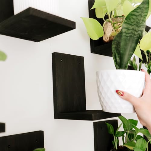 Daniel's Plants 3 Pack Mid-Century Modern L Shaped Wooden Plant Shelf Kit | Wall Mounted Floating Shelves | Solid Wood Wall Planter Shelf | Midnight Black - color: Midnight Black