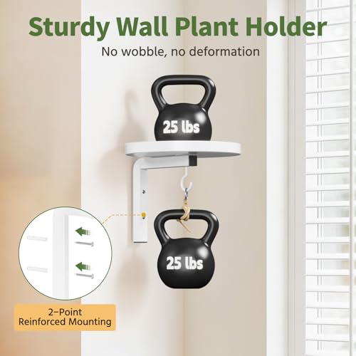 LASZOLA Plant Hanger Holder Window Shelf Wall Mounted Indoor, 2 Pcs White - color: White, size: 2