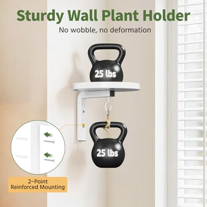 LASZOLA Plant Hanger Holder Window Shelf Wall Mounted Indoor, 2 Pcs White - color: White, size: 2