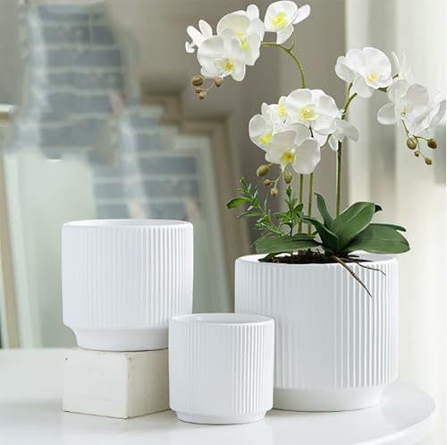 Ceramic 4.9+6.3 inch Planters, Modern Home and Office Flowerpot, Indoor and Outdoor Flowerpot with Drainage Hole (White) - color: White