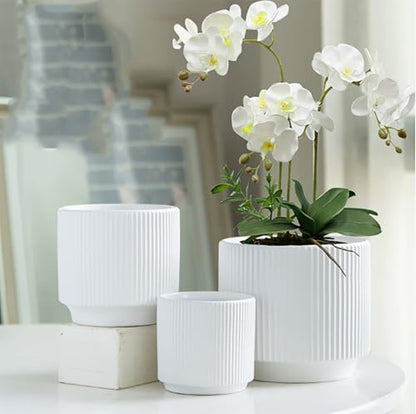 Ceramic 4.9+6.3 inch Planters, Modern Home and Office Flowerpot, Indoor and Outdoor Flowerpot with Drainage Hole (White) - color: White