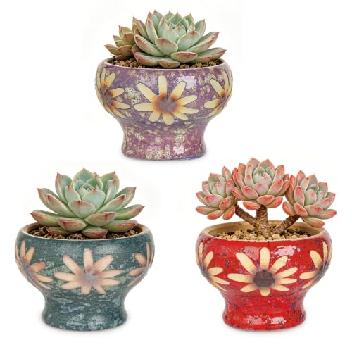 Sungmor Small Succulent Planters Set of 3, Beautiful Hand Crafted Ceramic Plant Pots Cute Cactus Pot, 4.9 Inch Flower Pots for Indoor Plants with Drainage, Desktop Windowsill Home Office Decor Pots - color: Style-f (Dia.: 4.9inch & H: 3.5inch)
