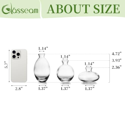 Glasseam Glass Bud Vase for Centerpieces, 6Pcs Clear Small Flower Vase Set - color: Clear, size: 2 Sets