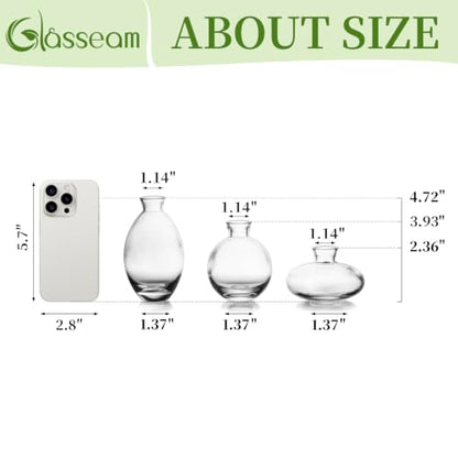 Glasseam Glass Bud Vase for Centerpieces, 6Pcs Clear Small Flower Vase Set - color: Clear, size: 2 Sets