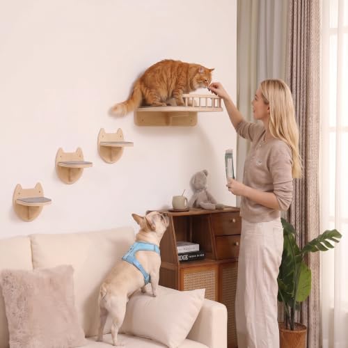 Cat Wall Shelves, Modern Cat Wall Furniture for Indoor Cats - color: Natural Wood, 3 Steps + Perch