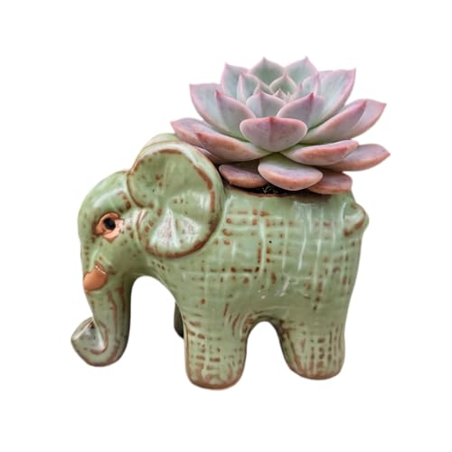Cute Animal Elephant Shaped Ceramic Succulent Cactus Air Plant Flower Pots Planters-Plant Not Included (4.7 Inch) - size: 4.7 Inch
