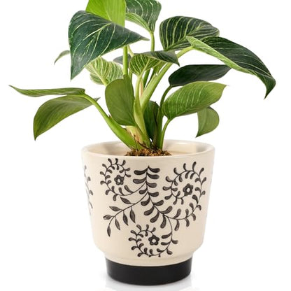 STHIE Indoor Ceramic Plant Pots with Drainage Holes, 5 Inch, Leaf Design - color: Beige-rattan