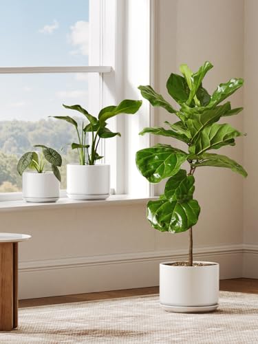 LE TAUCI 8 Inch Plant Pot, Ceramic Pots for Plants, White - color: White, size: 8"