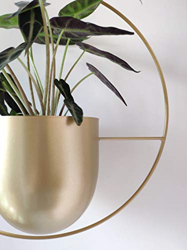 Boho Metal Plant Hanger,Metal Round Hanging Planter, Modern Planter, Mid Century Plant Holder, Minimalist Planter for Indoor Outdoor Home Decor (Gold)