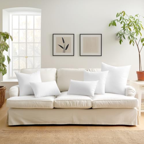 MIULEE Set of 2 Throw Pillow Inserts 20x20 Inches with 100% Virgin Filling - size: 20x20