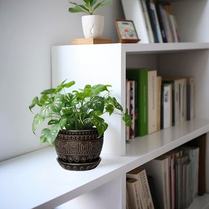 G EPGardening Ceramic Plant Pot, 5.5 Inch Ceramic Planter, Black - color: Palindrome Black
