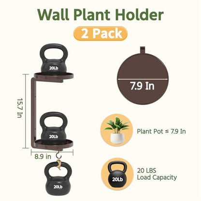 LASZOLA Plant Hanger Holder Window Shelf Wall Mounted Indoor, 2 Pcs Bronze - color: Classic Bronze, size: 2