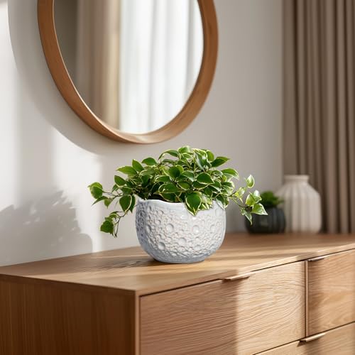 Ceramic Plant Pots 6 Inch, Ceramic Orchid Pot with Drainage, Grey - color: Gray, size: 6.2 Inch