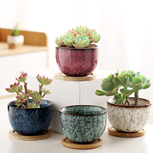 YYW 3 Inch Ceramic Plant Pot Set of 4 with Drainage and Bamboo Tray(Set 2) - color: Set 2, size: One Size