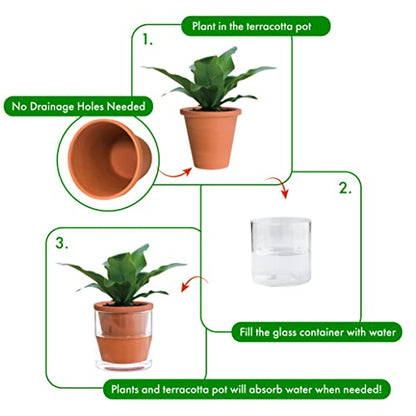 D'vine Dev Self Watering Terracotta Planter Pot, 4 in, 37-X-A-1 - color: Terracotta, size: 4 Inch