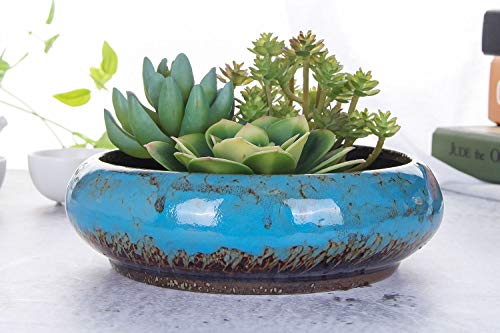 VanEnjoy 7.3 inch Round Large Shallow Succulent Ceramic Glazed Planter Pots with Drainage Hole, Bonsai Pots Garden Decorative Cactus Stand Flower Container (Blue) - color: Blue