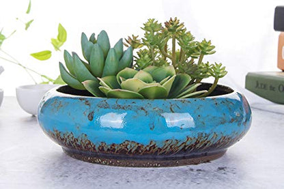 VanEnjoy 7.3 inch Round Large Shallow Succulent Ceramic Glazed Planter Pots with Drainage Hole, Bonsai Pots Garden Decorative Cactus Stand Flower Container (Blue) - color: Blue