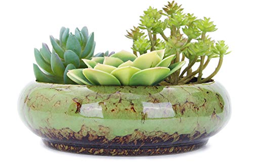 VanEnjoy 7.3 inch Round Large Shallow Succulent Ceramic Glazed Planter Pots with Drainage Hole, Bonsai Pots Garden Decorative Cactus Stand Flower Container (Green) - color: Green