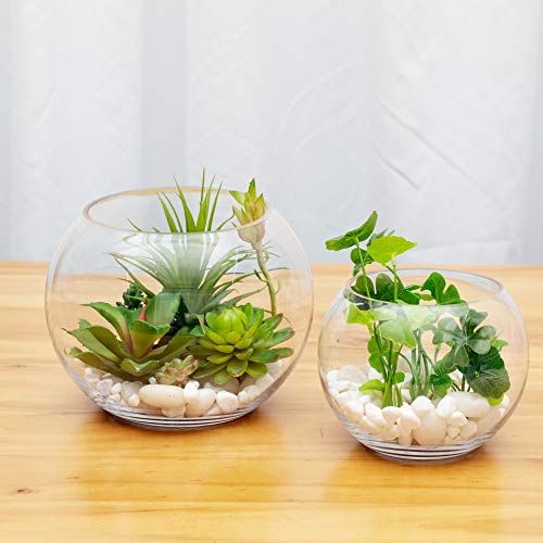 WGVI Bowl Glass Vase, Diameter 8", Height 6", Open Width 5", (Multiple Sizes Choices) Clear Bubble Planter Terrarium Fish Bowl for Wedding Event Home Decor, 1 Piece (VBW0008A) (Pack of 3) - size: 8"Dx6"H 1 Piece (Pack of 3)