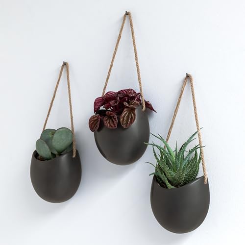 Kazai. Wall Planters -Ellie- | Hanging Ceramic Plant Pots 3 Pieces | Wall Decoration for Indoors, Balcony and Garden | Graphite (Matte) - color: Graphite (Matte), size: Set of 3 - Standard