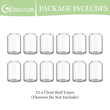 Glasseam Glass Bud Vases for Single Stem Flower, Small Clear Vase Set of 12 - size: S-12Pcs