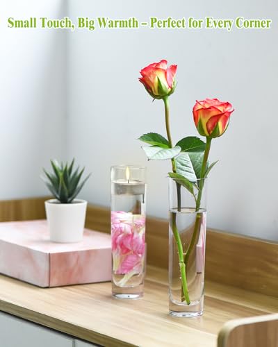 16PCS Glass Cylinder Bud Vases, 7.48" H x 1.81" W, Clear