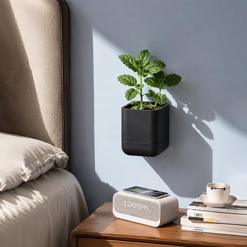 Phoenix Vine 3.5 Inch Wall Mounted Self-Watering Planter Pot for Indoor Houseplants and Herbs | Hanging Planter for Window Sills, Bathroom Walls, Home & Office Décor, Black, Set of 1, 01-A-E-1 - color: Black, size: 3.5" (1 Pack)