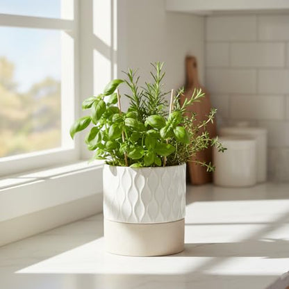 Nihow Self Watering Ceramic Plant Pot, 4.5 Inch, Cream White & Brown Net - color: Cream White & Brown Net, size: 4.5" Self Watering
