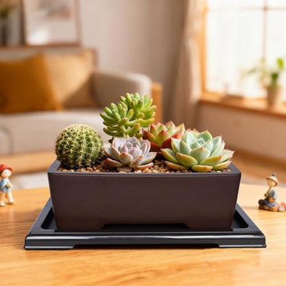 MUZHI Unglazed Zisha Bonsai Pot with Humidity Tray, Rectangle Bonsai Tree Planter with Drainage for Ficus, Succulent etc. (Classic Rectangle) - style: Classic Rectangle