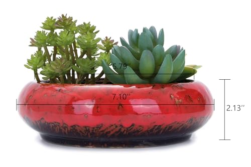 VanEnjoy 7.1 inch Round Large Shallow Succulent Ceramic Glazed Planter Pots with Drainage Hole, Bonsai Pots Garden Decorative Cactus Stand Flower Container (Red) - color: Red