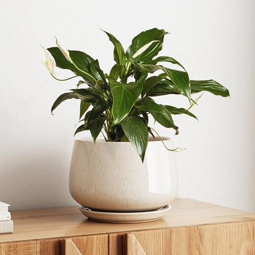 LE TAUCI Ceramic Planter, 10 Inch, Large Plant Pot, Reactive Glaze Beige - color: Reactive Glaze Beige, size: 10"