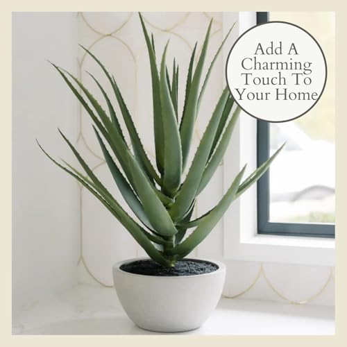 CG Hunter, Faux Agave Plant, 31.5 in, Natural, Home Decor - size: 31.5" Agave
