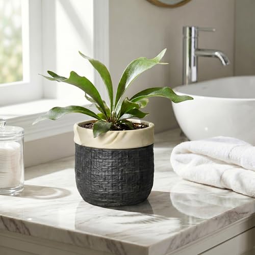 Ceramic Flower Pots, 6 Inch Pots for Plants, Round Planter, Black - color: Black, size: 6 Inch