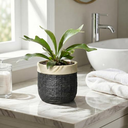 Ceramic Flower Pots, 6 Inch Pots for Plants, Round Planter, Black - color: Black, size: 6 Inch