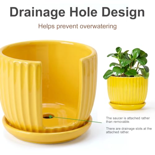 Ceramic Planters,Yellow Plant Pots with Drainage Holes and Saucers Set of 3 - color: Yelllow
